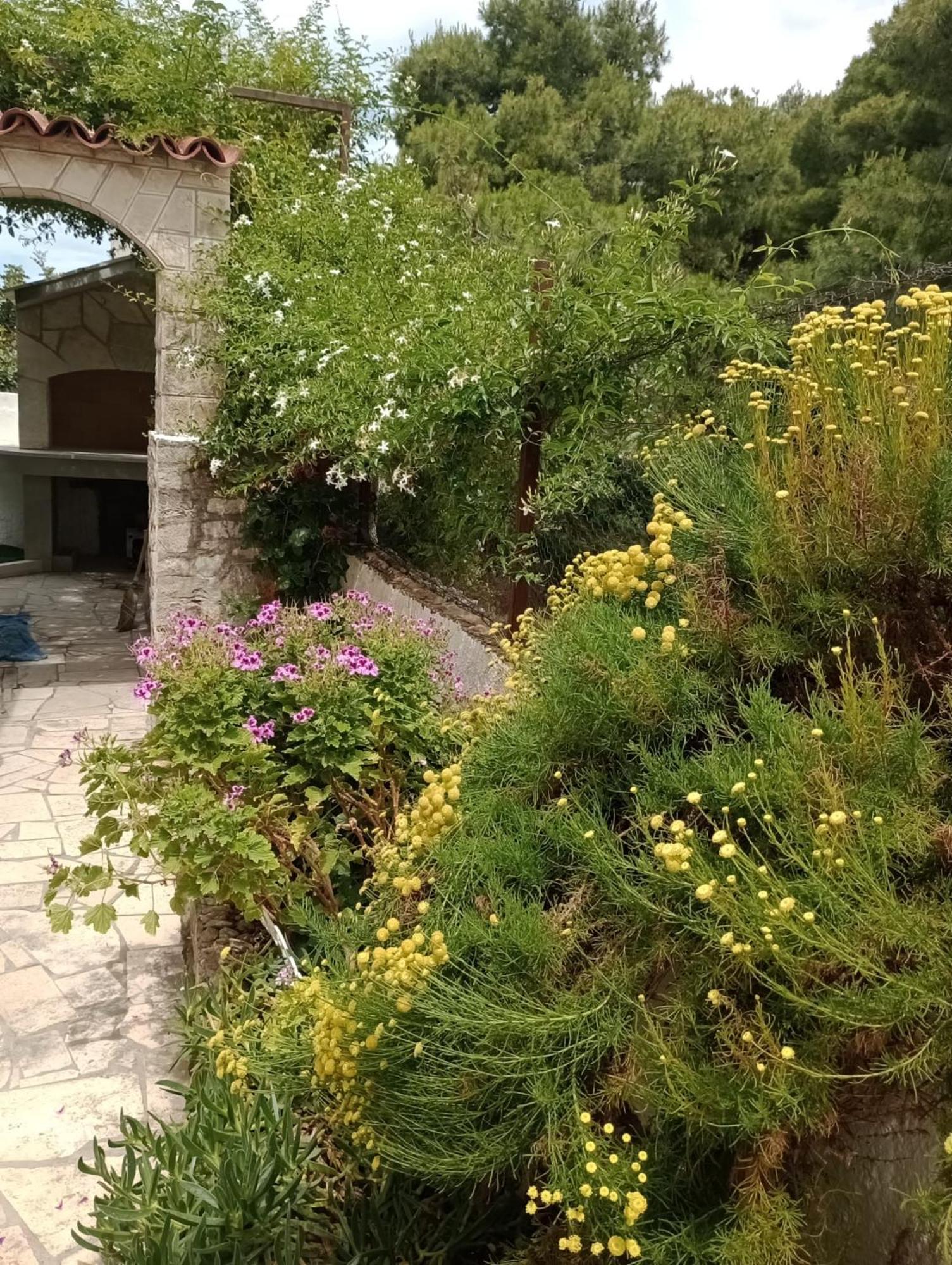 Kuca Za Odmor Skalina - Sea View Villa สปลิตสกา ห้อง รูปภาพ